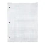 Five Star® Heavy Weight Refill Paper, Quad Ruled, 100 Sheets
