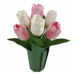 Potted Tulips