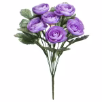 Purple Ranunculus