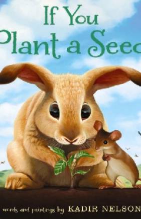 If You Plant a Seed