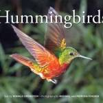 Hummingbirds