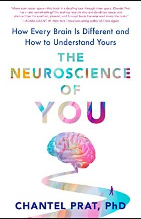 The Neuroscience of You: How Every rain Is Different and How to Understand Yours