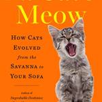 The Cat's Meow: How Cats Evolved From the Savanna to Your Sofa