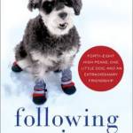 Following Atticus: Forty-eight High Peaks, One Little Dog, and an Extraordinary Friendship