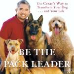 Be the Pack Leader: Use Cesar’s Way to Transform Your Dog … and Your Life