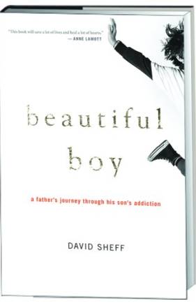 Beautiful Boy: A Father’s Journey Through His Son’s Addiction