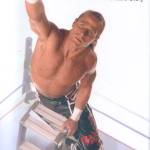 Heartbreak & Triumph: The Shawn Michaels Story