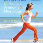Essentials of Human Anatomy & Physiology