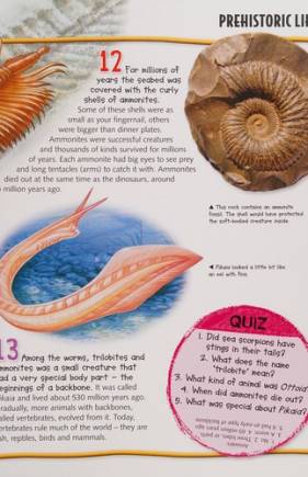 Wild about Dinosaurs