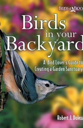 Birds in Your Backyard