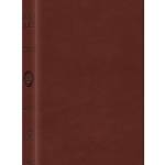 ESV LARGE PRINT VALUE THINLINE BIBLE