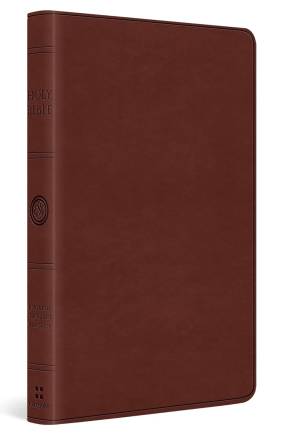 ESV LARGE PRINT VALUE THINLINE BIBLE