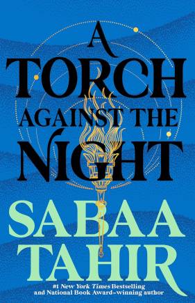 A torch against the night