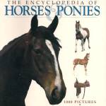 Horses & Ponies Dutchbound Cover (Encyclopedias of Animal Breeds)