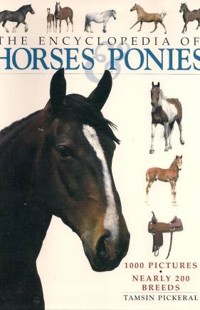 Horses & Ponies Dutchbound Cover (Encyclopedias of Animal Breeds)